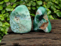 Polished Mtorolite Free Forms x 12 From Mutorashanga, Zimbabwe