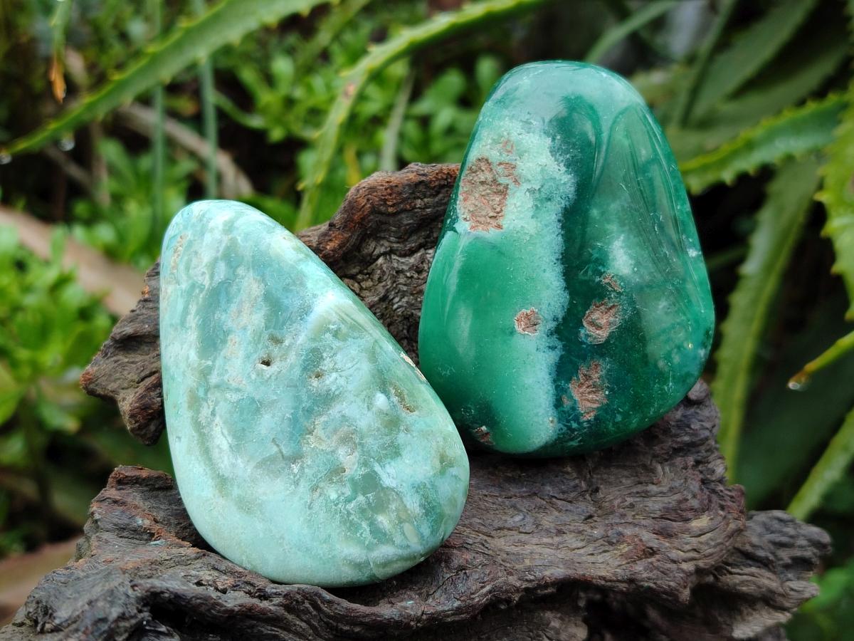 Polished Mtorolite Free Forms x 12 From Mutorashanga, Zimbabwe