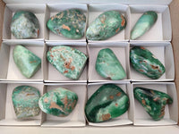 Polished Mtorolite Free Forms x 12 From Mutorashanga, Zimbabwe