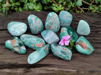 Polished Mtorolite Free Forms x 12 From Mutorashanga, Zimbabwe