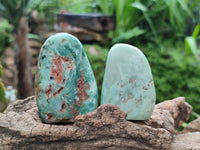 Polished Mtorolite Free Forms x 12 From Mutorashanga, Zimbabwe