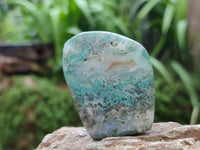 Polished Mtorolite Free Forms x 12 From Mutorashanga, Zimbabwe