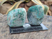 Polished Mtorolite Free Forms x 12 From Mutorashanga, Zimbabwe