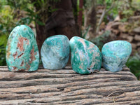 Polished Mtorolite Free Forms x 12 From Mutorashanga, Zimbabwe