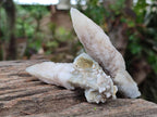 Natural Drusy Quartz Coated Spearhead Calcite Specimens x 24 From Albert's Mountain, Lesotho - Toprock Gemstones and Minerals 