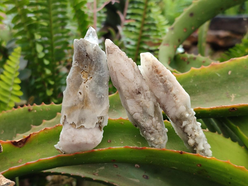 Natural Drusy Quartz Coated Spearhead Calcite Specimens x 24 From Albert's Mountain, Lesotho - Toprock Gemstones and Minerals 