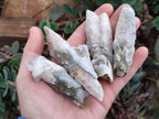 Natural Drusy Quartz Coated Spearhead Calcite Specimens x 24 From Albert's Mountain, Lesotho - Toprock Gemstones and Minerals 