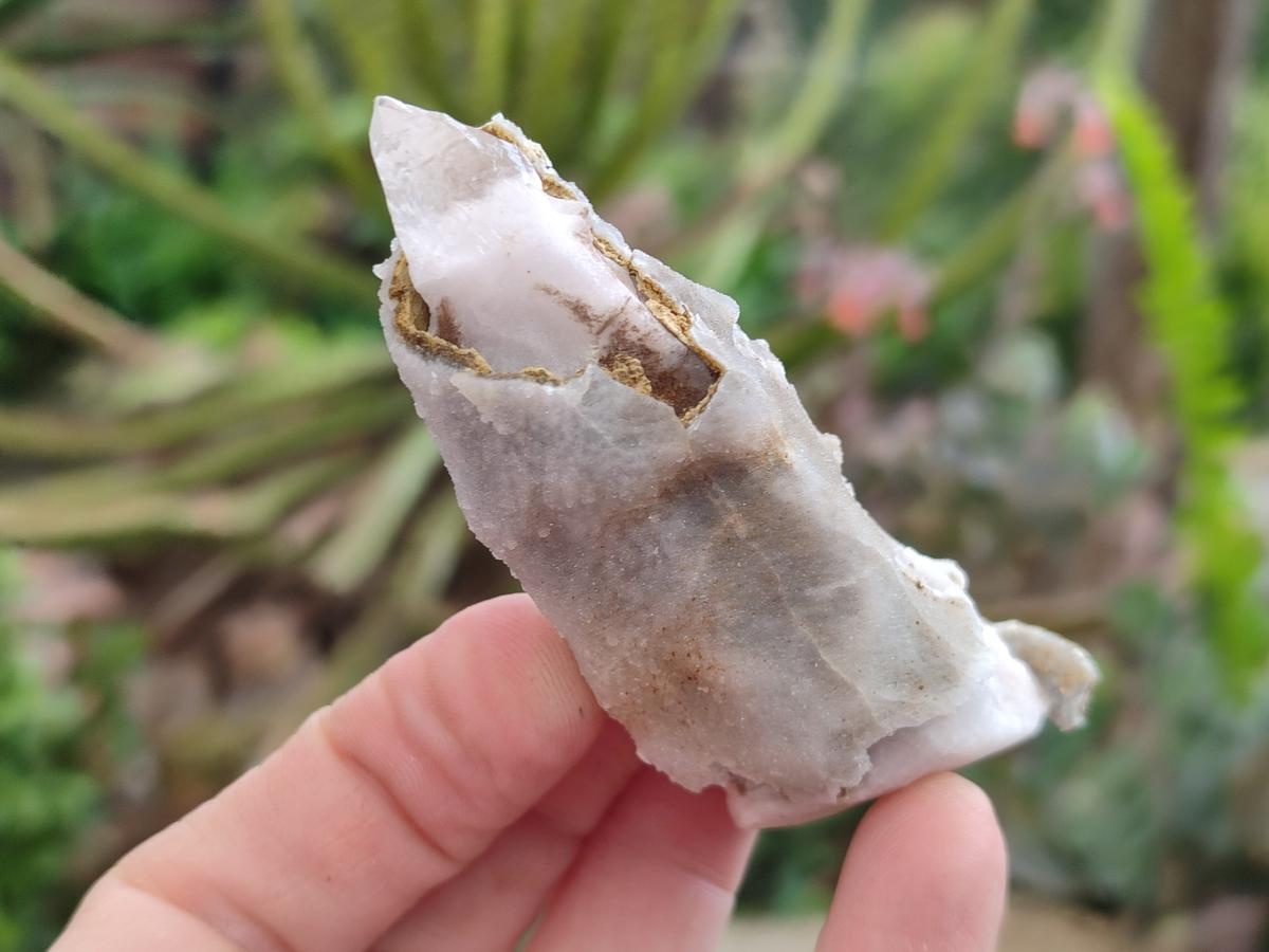 Natural Drusy Quartz Coated Spearhead Calcite Specimens x 24 From Albert's Mountain, Lesotho