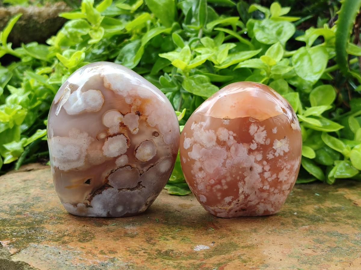 Polished Flower Agate Standing Free Forms x 3 From Antsahalova, Madagascar