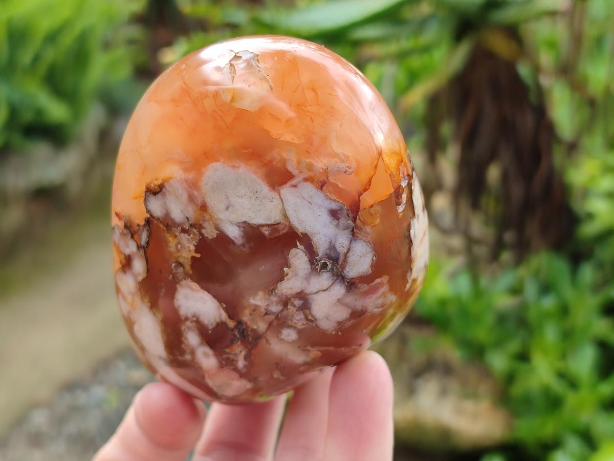 Polished Flower Agate Standing Free Forms x 3 From Antsahalova, Madagascar