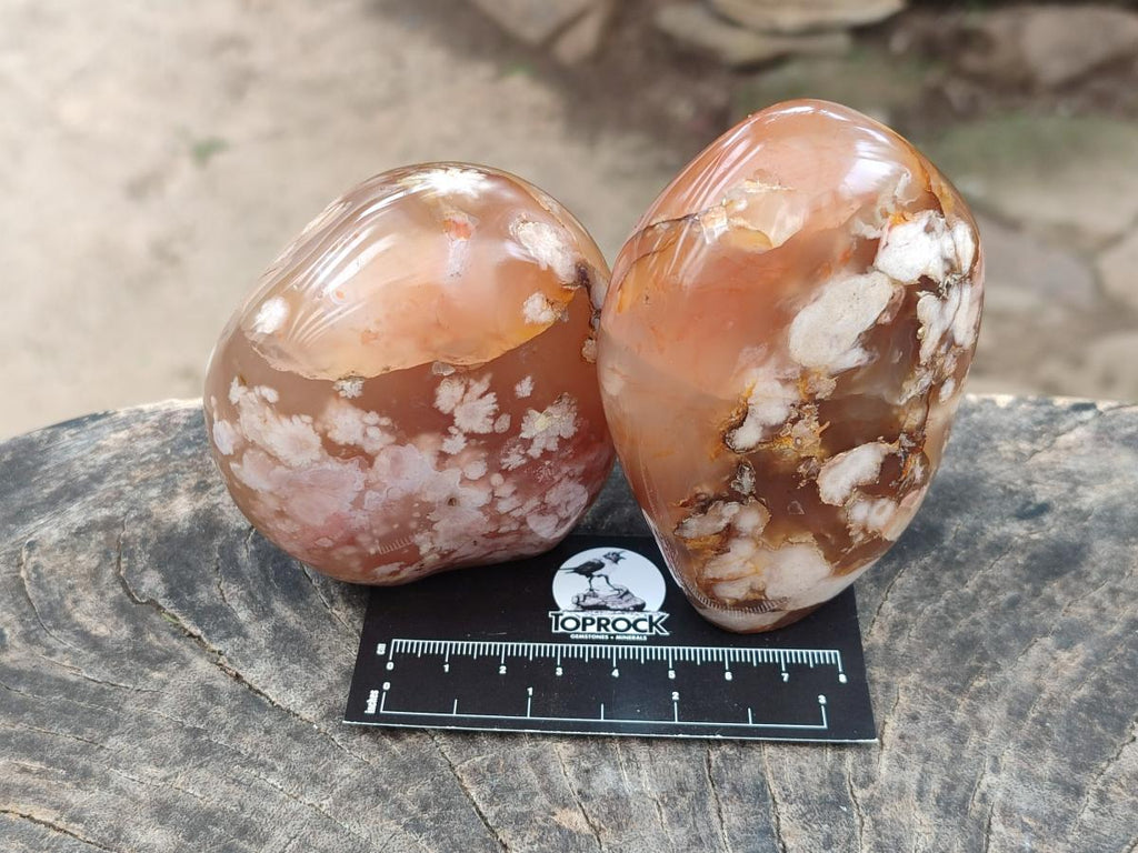 Polished Flower Agate Standing Free Forms x 3 From Antsahalova, Madagascar