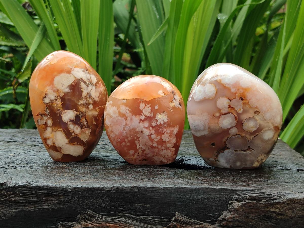 Polished Flower Agate Standing Free Forms x 3 From Antsahalova, Madagascar