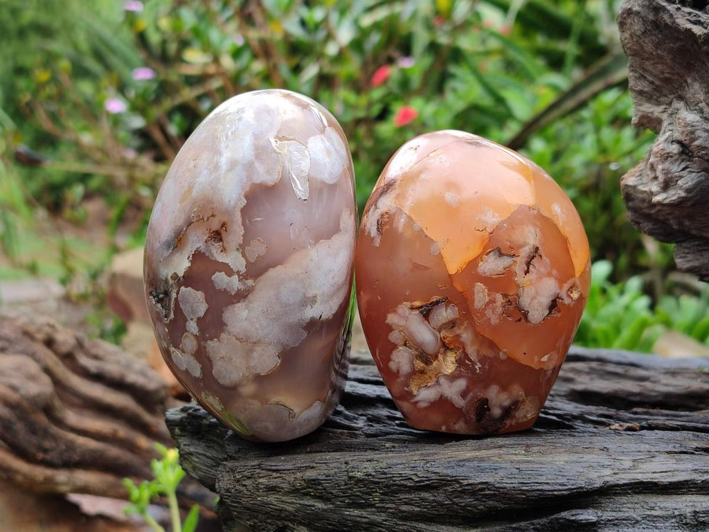 Polished Flower Agate Standing Free Forms x 3 From Antsahalova, Madagascar