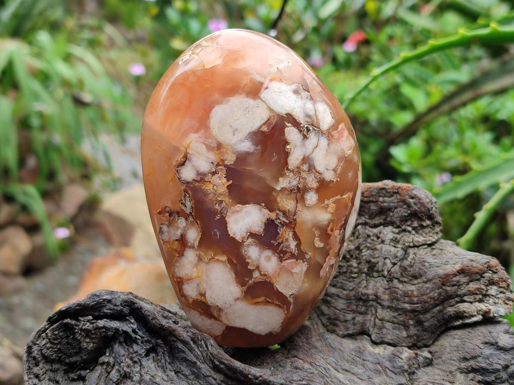 Polished Flower Agate Standing Free Forms x 3 From Antsahalova, Madagascar