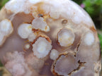 Polished Flower Agate Standing Free Forms x 3 From Antsahalova, Madagascar
