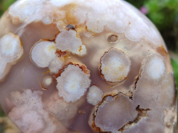 Polished Flower Agate Standing Free Forms x 3 From Antsahalova, Madagascar