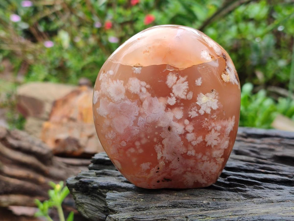 Polished Flower Agate Standing Free Forms x 3 From Antsahalova, Madagascar