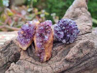 Natural Small Amethystos Amethyst Clusters x 86 From Kwaggafontein, South Africa