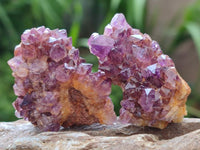 Natural Small Amethystos Amethyst Clusters x 86 From Kwaggafontein, South Africa