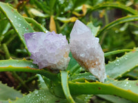 Natural Mixed Spirit Quartz Crystals And Clusters x 20 From Boekenhouthoek, South Africa