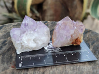 Natural Mixed Spirit Quartz Crystals And Clusters x 20 From Boekenhouthoek, South Africa