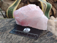 Natural Cobbed Rose Quartz Specimens x 16 From Northern Cape, South Africa