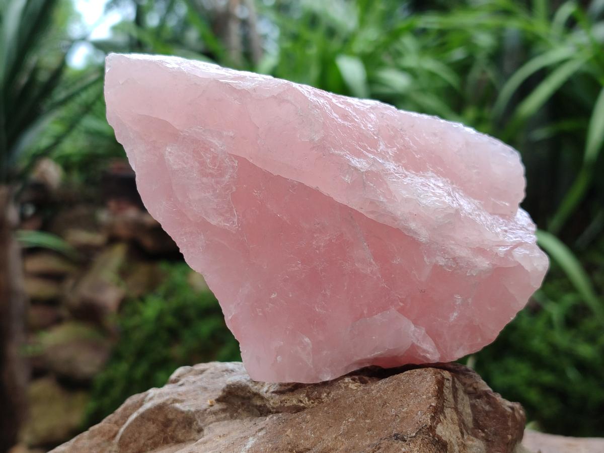 Natural Cobbed Rose Quartz Specimens x 16 From Northern Cape, South Africa
