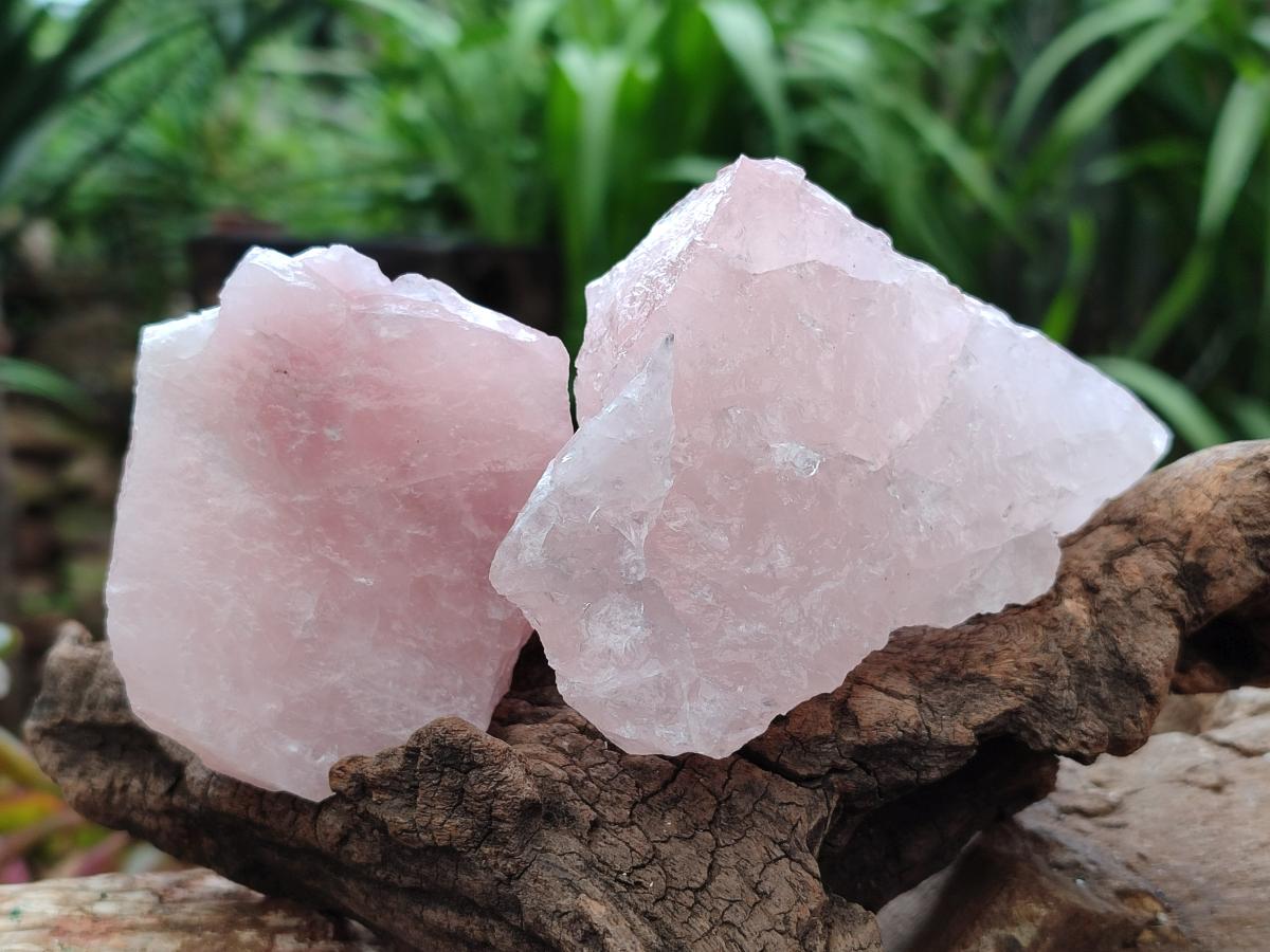 Natural Cobbed Rose Quartz Specimens x 16 From Northern Cape, South Africa - Toprock Gemstones and Minerals 