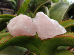 Natural Cobbed Rose Quartz Specimens x 16 From Northern Cape, South Africa - Toprock Gemstones and Minerals 