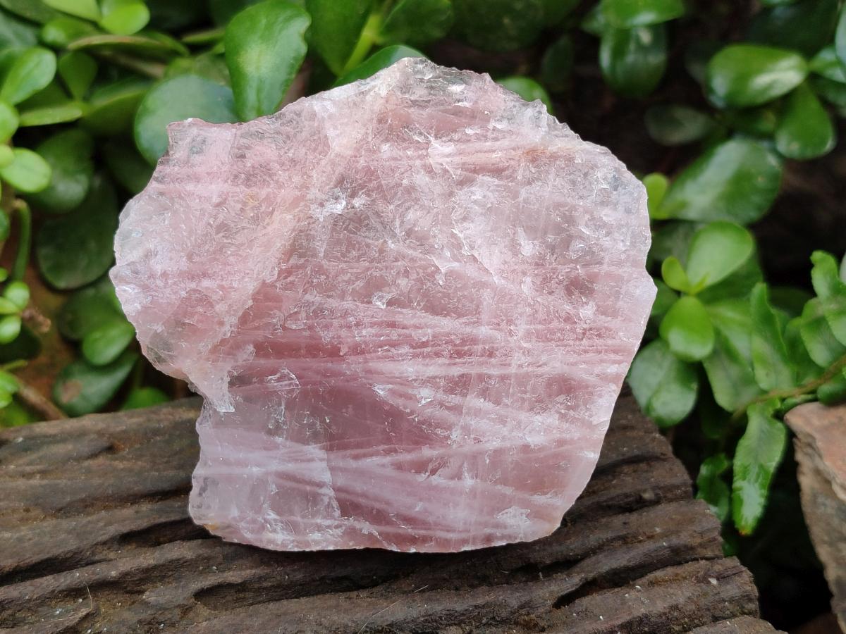 Natural Cobbed Rose Quartz Specimens x 16 From Northern Cape, South Africa - Toprock Gemstones and Minerals 