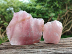 Natural Cobbed Rose Quartz Specimens x 16 From Northern Cape, South Africa - Toprock Gemstones and Minerals 