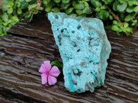 Natural Drusy Coated Chrysocolla with Malachite Specimen x 1 From Lupoto Mine, Congo