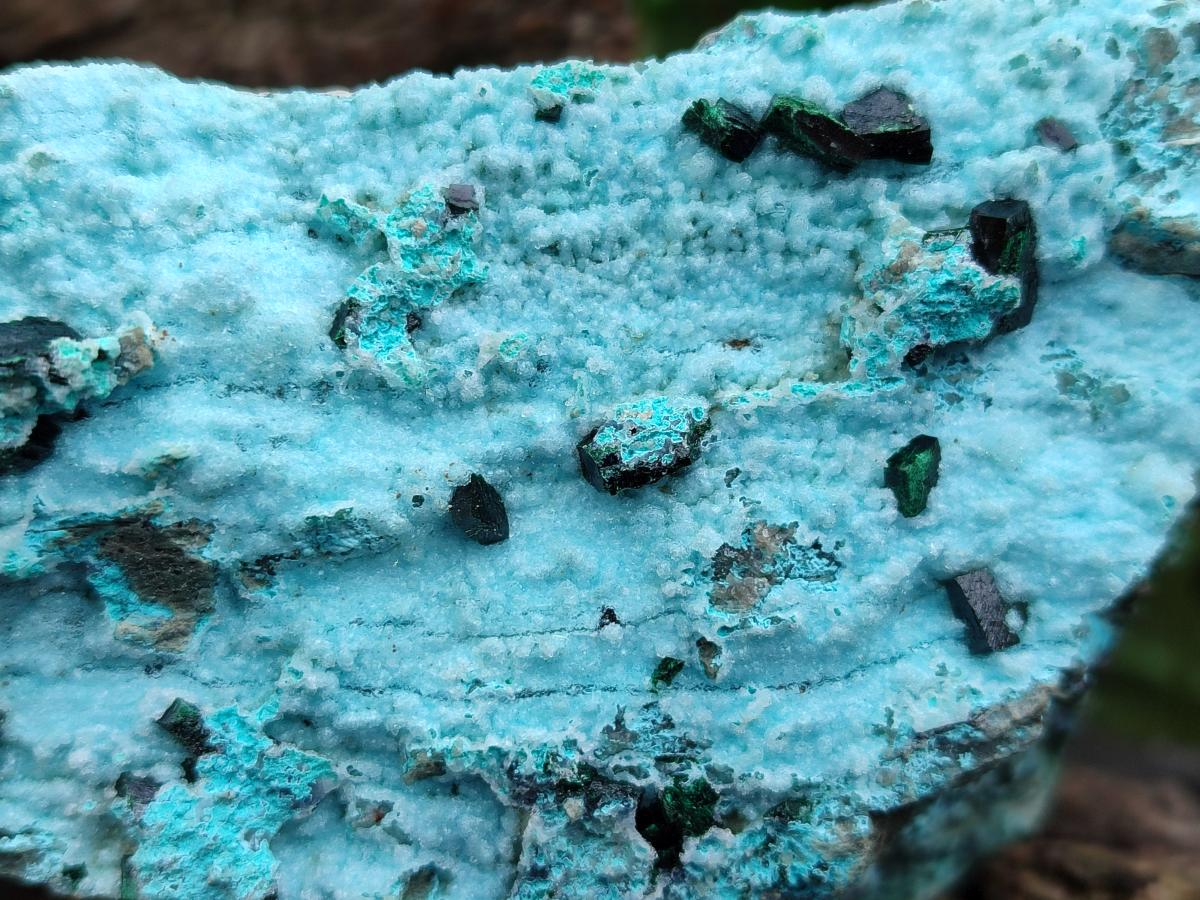 Natural Drusy Coated Chrysocolla with Malachite Specimen x 1 From Lupoto Mine, Congo