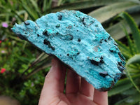 Natural Drusy Coated Chrysocolla with Malachite Specimen x 1 From Lupoto Mine, Congo