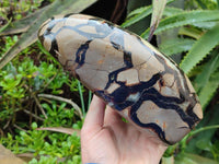 Polished Large Septerye Standing Free Form x 1 From Mahajanga, Madagascar