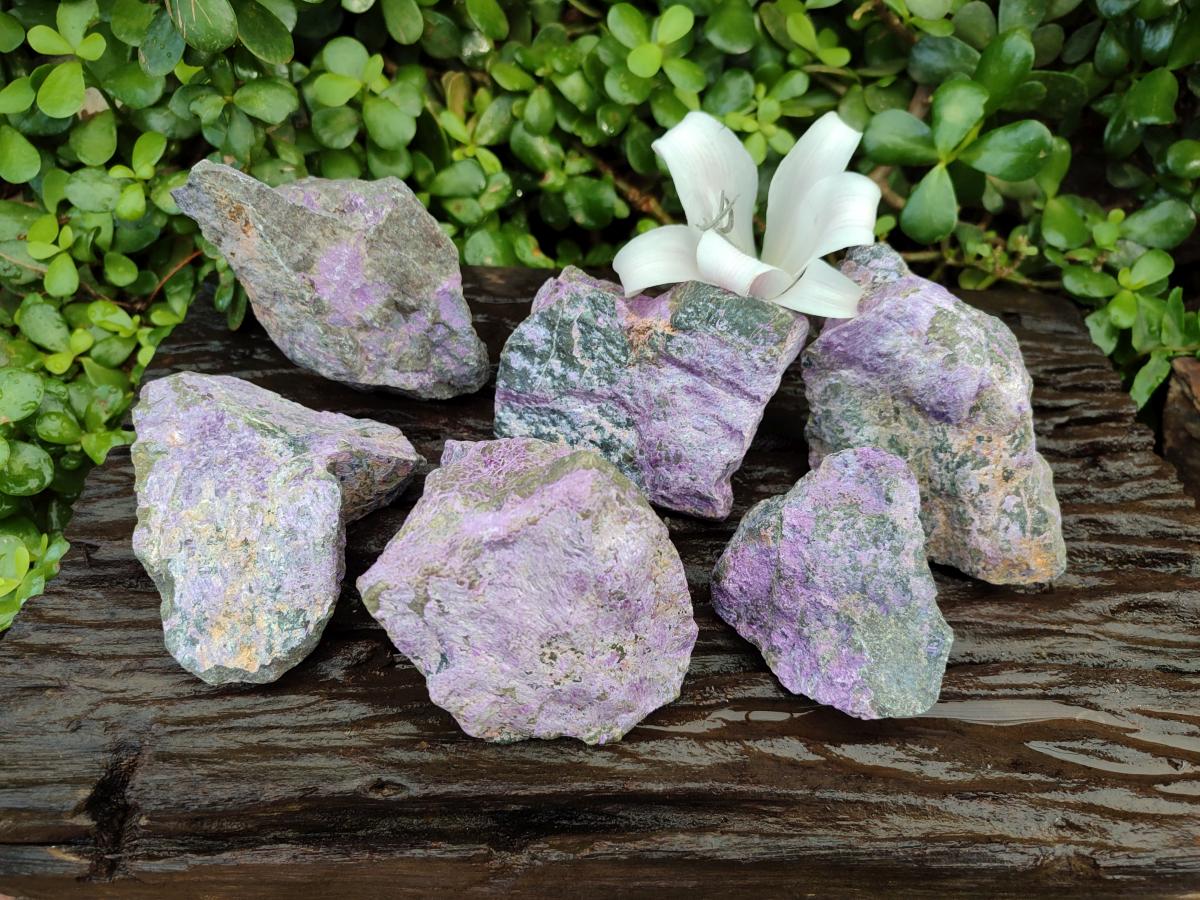 Natural Stichtite Cobbed Specimens x 6 From Barberton, South Africa