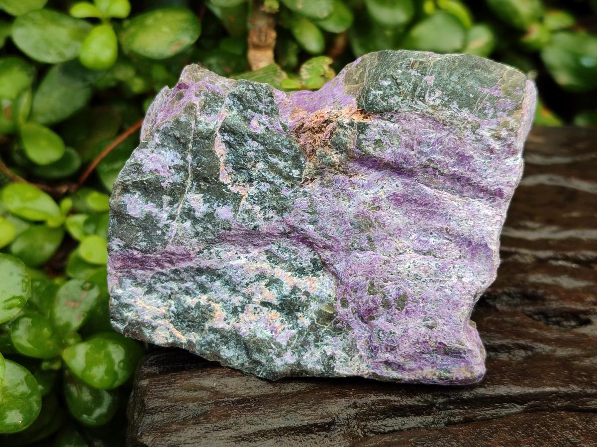 Natural Stichtite Cobbed Specimens x 6 From Barberton, South Africa