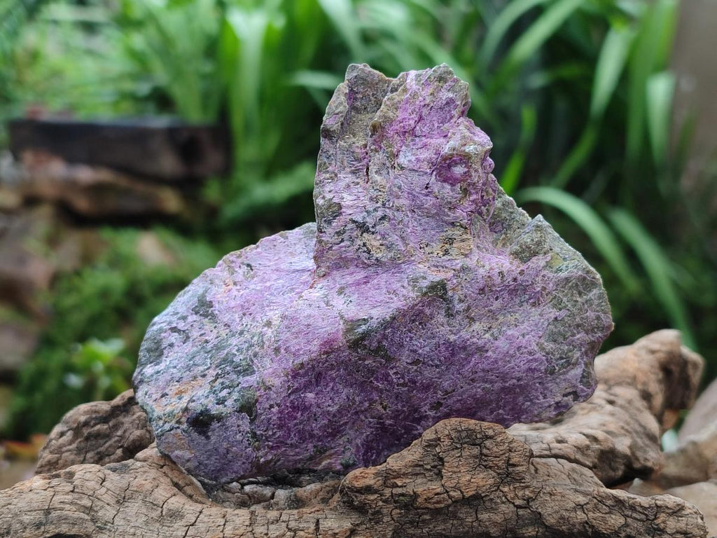 Natural Stichtite Cobbed Specimens x 6 From Barberton, South Africa - Toprock Gemstones and Minerals 