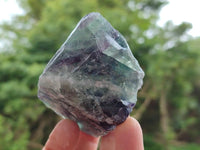 Natural Watermelon Fluorite Cobbed Specimens x 12 From Uis, Namibia