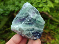 Natural Watermelon Fluorite Cobbed Specimens x 12 From Uis, Namibia