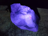 Natural Watermelon Fluorite Cobbed Specimens x 12 From Uis, Namibia