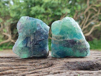 Natural Watermelon Fluorite Cobbed Specimens x 12 From Uis, Namibia