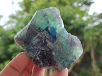 Natural Watermelon Fluorite Cobbed Specimens x 12 From Uis, Namibia