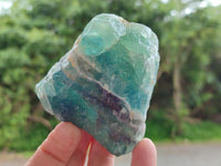Natural Watermelon Fluorite Cobbed Specimens x 12 From Uis, Namibia