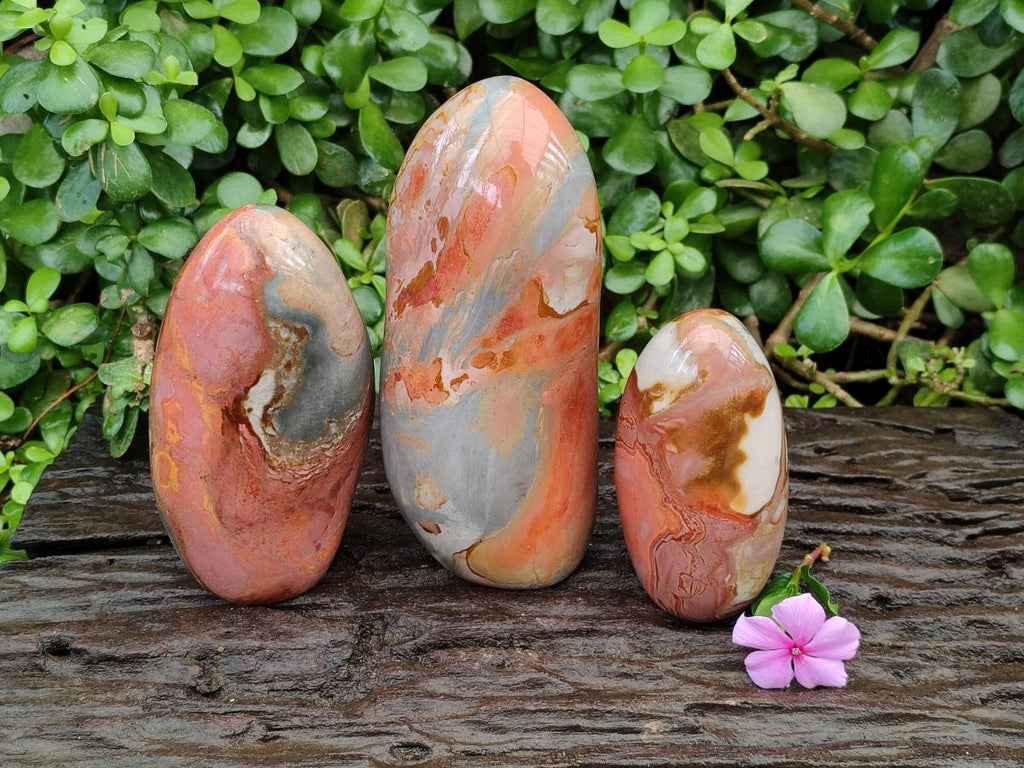 Polished Polychrome Jasper Standing Free Forms x 3 From NW Coast, Madagascar