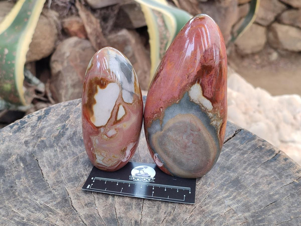 Polished Polychrome Jasper Standing Free Forms x 3 From NW Coast, Madagascar