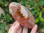 Polished Polychrome Jasper Standing Free Forms x 3 From NW Coast, Madagascar