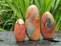 Polished Polychrome Jasper Standing Free Forms x 3 From NW Coast, Madagascar