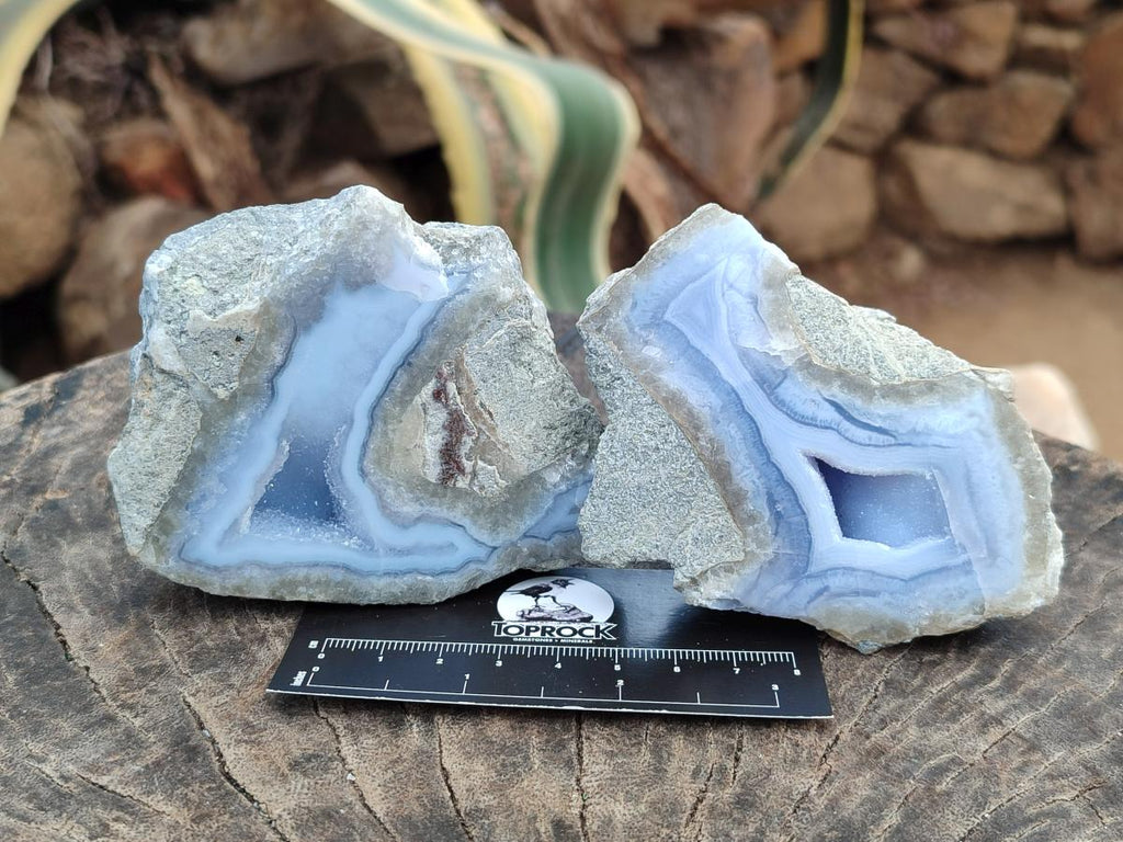 Polished On One Side Blue Lace Agate Geodes x 6 From Nsanje, Malawi