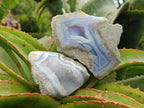 Polished On One Side Blue Lace Agate Geodes x 6 From Nsanje, Malawi